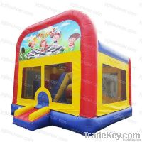 Combination of bouncer