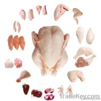 Chicken Parts & Whole Chicken Branded U-Globe