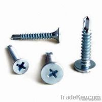 drywall screw