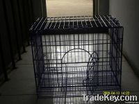 new-model  foldable metal dog kennels (factory)