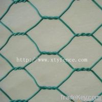 PVC chicken wire mesh