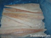 Atlantic Cod Fillet
