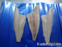 Haddock Fillets