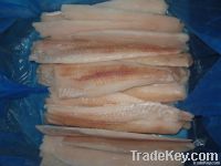 Pollock Fillets