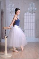 11314405 Ballet Dance tutu