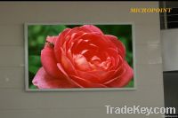 P6 Indoor Full Color LED Display