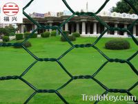 Hexagonal Wire Mesh