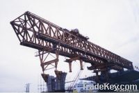 Gantry Crane(150x1600 Ton)