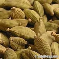 Cardamom seed