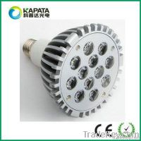 HOT Bridgelux and cree P38 12*1w led PAR Lamp