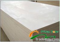 Paper-faced magnesium oxide board