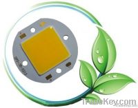 5W LED COB array