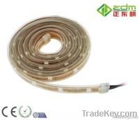 Silicon Waterproof (IP67) 12V SMD5050 LED Flexible Strip Light 5m/Roll