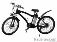 electric bicycle