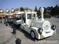 electric sightseeing train