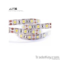 Outdoor Led Ribbon Light ( LED Strip )