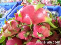 Dragon fruit