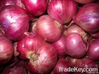 Red Onion