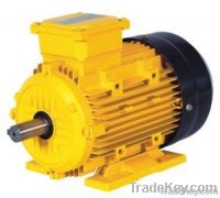 MS  THREE-PHASE ALUMINUM SHELL ASYNCHRONOUS MOTOR