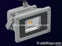 10W LED Flood Light