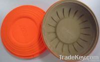 clay target