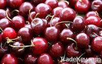 Cherries