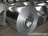 Galvanized Steel Sheet/Coil