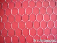 Hexagonal wire mesh