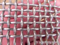 Galvanized square wire mesh