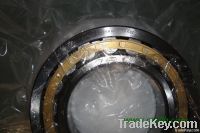 Cylindrical Roller Bearings