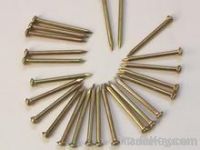 common nail