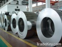 Q195 Cold plate