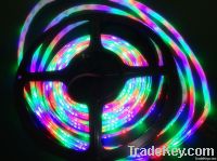 3528 IP65 RGB LED Strip Light