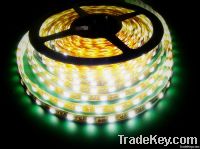 3528/5050 LED Strip Light/5050 White