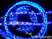 LED Strip Light/5050 blue led strip