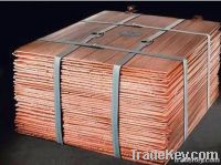 Copper Cathode