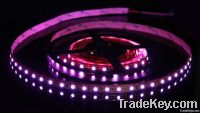 LED Flexible Strip(LR5003)