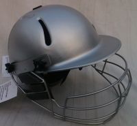 Cricket Helmet