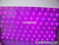 Ws2801 Outdoor magic led flexible strip light