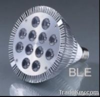 LED Lighting PAR38 12*2W