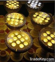 LED Spotlight PAR38 12*2W