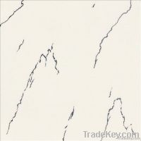 Polished tiles-Carrara