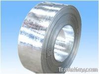 hot dip galvanized steel strips