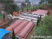 biogas product(OEM, more than 15years' use life, finished in 2 days, ligh