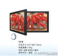 17 inch lcd advertising player
