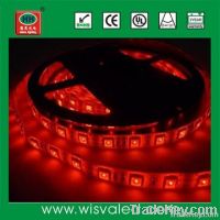 CE RoHS 12V 60leds/m waterproof 5m rgb led strip