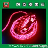 CE RoHS 12V 60leds/m waterproof SMD5050 LED Strips