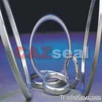 Ring Joint Gasket