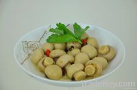 canned whole mushrooms