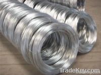 Galvanized Iron Wire
